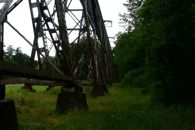 DSC_2216 (Large).JPG